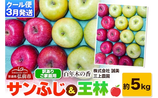 【26年3月クール便発送】りんご サンふじ＆王林 約5kg【訳あり】家庭用 百年木の香 三上農園