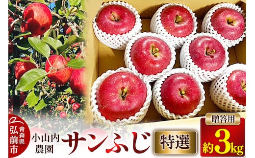 【寄附金額見直しました】【26年12月発送】りんご サンふじ【特選】贈答用 約3kg 小山内農園【先行予約】 [先行受付 弘前市産 青森りんご 果物 フルーツ デザート 食後 青森県産 産地直送 贈り物 青森 果物 フルーツ 林檎 リンゴ くだもの]