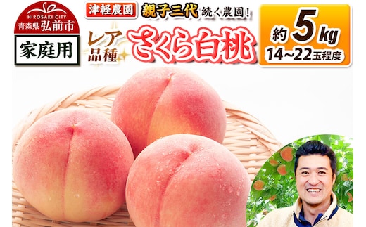 【26年9月発送】桃 約5kg(14～22玉程度) 青森【2026年産 レア品種 さくら白桃】もも 家庭用 くだもの フルーツ 果物 津軽農園 採れたて 農家直送 [おいしい ピーチ フルーツ もも 果実 果物 青森 津軽 桃 白桃 美味]
