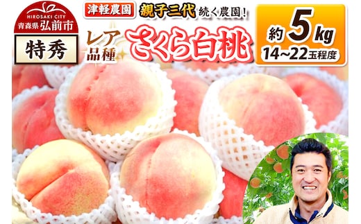 【26年9月発送】桃 約5kg(14～22玉程度) 青森【2026年産 レア品種 さくら白桃】もも 特秀 くだもの フルーツ 果物 津軽農園 採れたて 農家直送 [おいしい ピーチ フルーツ もも 果実 果物 青森 津軽 桃 白桃 美味]