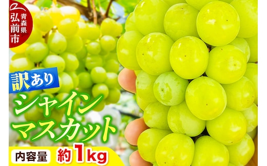 【26年10月～クール便発送】【先行受付】ぶどう【訳あり】シャインマスカット 約1kg 青森県弘前市