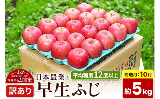 【26年10月発送】りんご 早生ふじ【訳あり】約5kg 平均糖度12度以上 青森 果物 フルーツ 林檎 リンゴ くだもの 不揃い 規格外 [先行受付 家庭用 産地直送 アップル 青森県 弘前市]