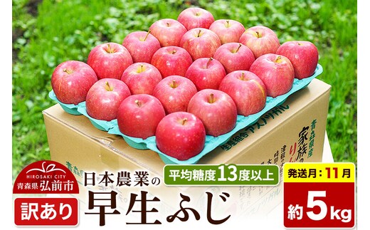 【26年11月発送】りんご 早生ふじ【訳あり】約5kg 平均糖度13度以上 青森 果物 フルーツ 林檎 リンゴ くだもの 不揃い 規格外 [先行受付 家庭用 産地直送 アップル 青森県 弘前市]