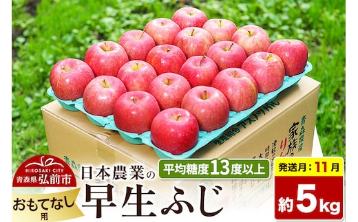 【26年11月発送】りんご 早生ふじ【おもてなし用】約5kg 平均糖度13度以上 青森 果物 フルーツ 林檎 リンゴ くだもの [先行受付 産地直送 アップル 青森県 弘前市]