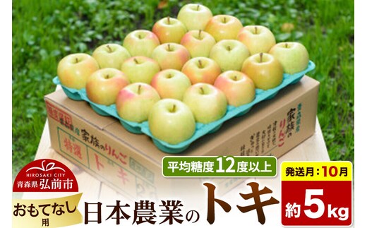 【26年10月発送】りんご トキ【おもてなし用】約5kg 平均糖度12度以上 青森県 弘前市 果物 フルーツ 林檎 リンゴ くだもの [先行受付 産地直送 アップル 青森県 弘前市]