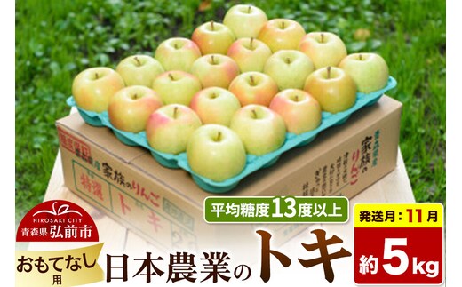 【26年11月発送】りんご トキ【おもてなし用】約5kg 平均糖度13度以上 青森県 弘前市 果物 フルーツ 林檎 リンゴ くだもの [先行受付 産地直送 アップル 青森県 弘前市]