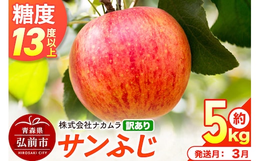 【27年3月クール便発送】りんご サンふじ【訳あり】約5kg（14～23玉程度）糖度13度以上 先行受付 青森県産 林檎 リンゴ 果物 くだもの フルーツ 青森県 弘前市 不揃い 規格外 [先行予約 クール便 産地直送 家庭用 アップル おいしい ふじ 果実 美味 甘い]