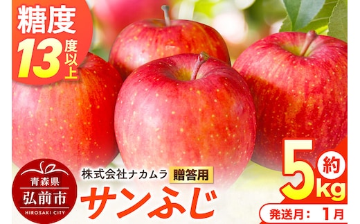 【27年1月発送】りんご サンふじ【贈答用】約5kg（16～20玉程度）糖度13度以上 先行受付 青森県産 林檎 リンゴ 果物 くだもの フルーツ 青森県 弘前市 [先行予約 産地直送 ギフト 贈り物 アップル おいしい ふじ 果実 美味 甘い]