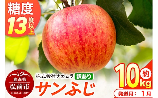 【27年1月発送】りんご サンふじ【訳あり】約10kg（28～46玉程度）糖度13度以上 先行受付 青森県産 林檎 リンゴ 果物 くだもの フルーツ 青森県 弘前市 不揃い 規格外 [先行予約 産地直送 家庭用 アップル おいしい ふじ 果実 美味 甘い]