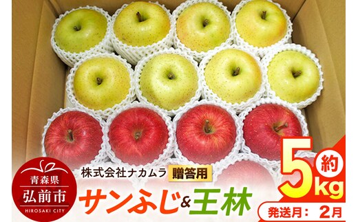 【27年2月発送】りんご サンふじ・王林【贈答用】約5kg（16～20玉程度）先行受付 青森県産 林檎 リンゴ 果物 くだもの フルーツ 青森県 弘前市 [先行予約 産地直送 ギフト 贈り物 アップル おいしい ふじ 王林 果実 美味 甘い]