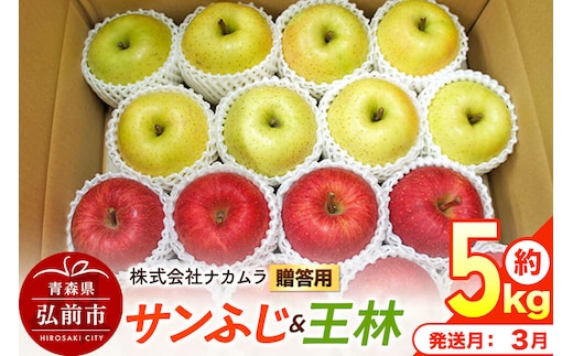 【27年3月発送】りんご サンふじ・王林【贈答用】約5kg（16～20玉程度）先行受付 青森県産 林檎 リンゴ 果物 くだもの フルーツ 青森県 弘前市 [先行予約 産地直送 ギフト 贈り物 アップル おいしい ふじ 王林 果実 美味 甘い]