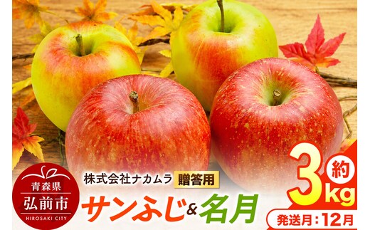 【26年12月発送】りんご サンふじ・名月【贈答用】約3kg（9～12玉程度）先行受付 青森県産 林檎 リンゴ 果物 くだもの フルーツ 青森県 弘前市 [先行予約 産地直送 ギフト 贈り物 アップル おいしい ふじ 名月 果実 美味 甘い]