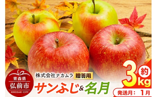 【27年1月発送】りんご サンふじ・名月【贈答用】約3kg（9～12玉程度）先行受付 青森県産 林檎 リンゴ 果物 くだもの フルーツ 青森県 弘前市 [先行予約 産地直送 ギフト 贈り物 アップル おいしい ふじ 名月 果実 美味 甘い]