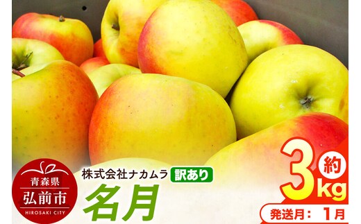 【27年1月発送】りんご 名月【訳あり】約3kg（8～13玉程度）先行受付 青森県産 林檎 リンゴ 果物 くだもの フルーツ 青森県 弘前市 不揃い 規格外 [先行予約 産地直送 家庭用 アップル おいしい めいげつ 果実 美味 甘い]