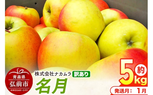 【27年1月発送】りんご 名月【訳あり】約5kg（14～23玉程度）先行受付 青森県産 林檎 リンゴ 果物 くだもの フルーツ 青森県 弘前市 不揃い 規格外 [先行予約 産地直送 家庭用 アップル おいしい めいげつ 果実 美味 甘い]