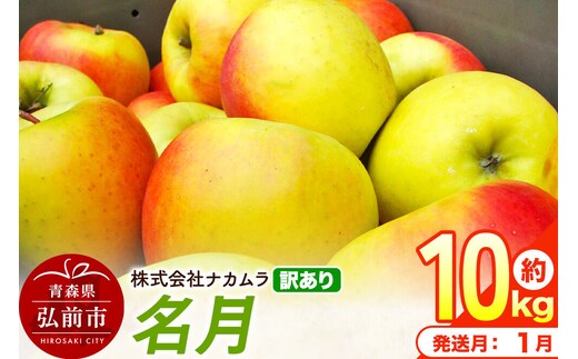 【27年1月発送】りんご 名月【訳あり】約10kg（28～46玉程度）先行受付 青森県産 林檎 リンゴ 果物 くだもの フルーツ 青森県 弘前市 不揃い 規格外 [先行予約 産地直送 家庭用 アップル おいしい めいげつ 果実 美味 甘い]