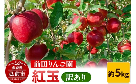 【26年10月発送】りんご【訳あり】紅玉 約5kg 前田りんご園 [青森産 りんご 紅玉 アップル 林檎 リンゴ 果物 果実 美味 青森県 弘前市]