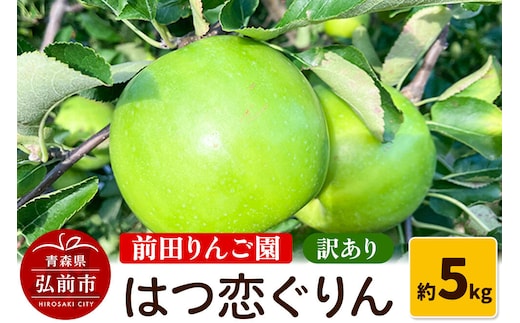 【26年10月～発送】りんご 【訳あり】 はつ恋ぐりん 約 5kg 前田りんご園 [青森産 りんご はつ恋ぐりん アップル 林檎 果物 果実 美味 おいしい 青森県 弘前市]