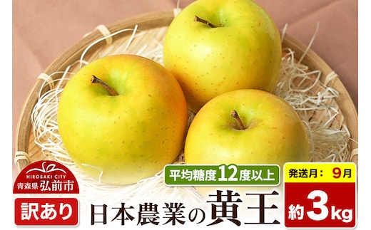 【26年9月クール便発送】りんご 黄王【訳あり】約3kg 平均糖度12度以上 青森県産 果物 フルーツ 林檎 リンゴ くだもの 不揃い 規格外 [家庭用 産地直送 アップル 青森県 弘前市]