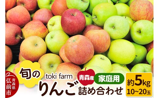 【26年11月中旬～発送】りんご 旬のりんご詰め合わせ 約5kg（12～20玉程度）家庭用 toki farm [アップル おいしい りんご 果実 果物 詰め合わせ 詰合 美味 林檎 青森県 弘前市]