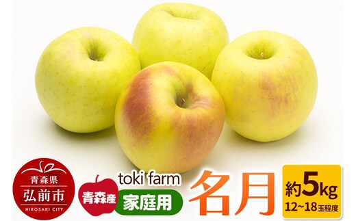 【26年10月下旬～クール便発送】りんご 名月 約5kg（12～18玉程度）家庭用 toki farm [クール便 アップル おいしい りんご 果実 果物 美味 林檎 青森県 弘前市]
