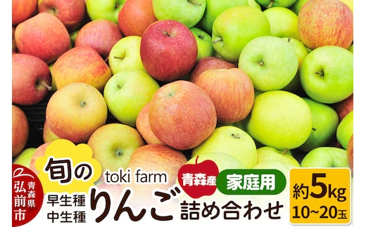 【26年10月クール便発送】りんご 旬のりんご 早生種・中生種詰め合わせ 約5kg（12～20玉程度）家庭用 toki farm 林檎 アップル 果実 果物 詰め合わせ 詰合 美味 [クール便 おいしい 果実 果物 美味]