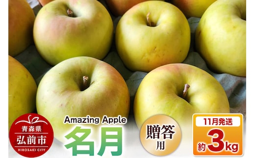 【26年11月下旬発送】りんご 名月【贈答用】約3kg 先行受付 [先行予約 りんご 名月 3kg アップル おいしい お歳暮 お中元 ギフト プレゼント 果実 果物 贈り物 贈答用 美味 林檎 青森県 弘前市]