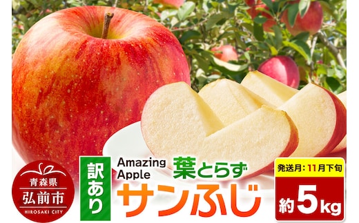 【26年11月下旬発送】りんご 葉とらずサンふじ【訳あり】家庭用 約5kg 先行受付 [先行予約 りんご サンふじ 葉とらず ふじ 訳あり 家庭用 5kg アップル おいしい 果実 果物 取ら 赤色 美味 葉っぱ 林檎 青森県 弘前市]