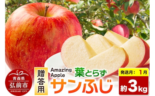 【27年1月発送】りんご 葉とらずサンふじ【贈答用】約3kg 先行受付 [先行予約 りんご サンふじ 葉とらず ふじ 3kg お歳暮 お中元 ギフト 贈り物 贈答用 アップル おいしい 果実 果物 赤色 美味 葉っぱ 林檎 青森県 弘前市]
