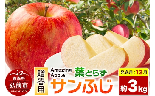 【26年12月発送】りんご 葉とらずサンふじ【贈答用】約3kg 先行受付 [先行予約 りんご サンふじ 葉とらず ふじ 3kg お歳暮 お中元 ギフト 贈り物 贈答用 アップル おいしい 果実 果物 赤色 美味 葉っぱ 林檎 青森県 弘前市]