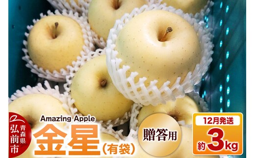 【26年12月発送】りんご 金星（有袋）【贈答用】約3kg 先行受付 [先行予約 りんご 金星 有袋 3kg お歳暮 お中元 ギフト 贈り物 贈答用 アップル おいしい 果実 果物 黄色 美味 林檎 青森県 弘前市]