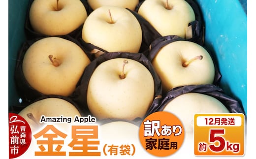 【26年12月発送】りんご 金星（有袋）【訳あり】家庭用 約5kg 先行受付 [先行予約 りんご 金星 有袋 訳あり 家庭用 5kg アップル おいしい 果実 果物 黄色 美味 林檎 青森県 弘前市]
