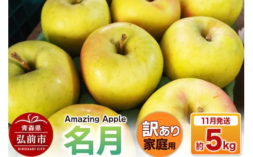 【26年11月下旬発送】りんご 名月【訳あり】家庭用 約5kg 先行受付 [先行予約 りんご 名月 訳あり 家庭用 5kg アップル おいしい 果実 果物 美味 林檎 青森県 弘前市]