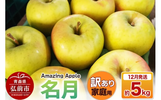 【26年12月発送】りんご 名月【訳あり】家庭用 約5kg 先行受付 [先行予約 りんご 名月 訳あり 家庭用 5kg アップル おいしい 果実 果物 美味 林檎 青森県 弘前市]
