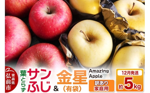 【26年12月発送】りんご 葉取らずサンふじ＆金星（有袋）【訳あり】家庭用 約5kg 紅白セット 先行受付 [先行予約 りんご サンふじ 葉とらず ふじ 金星 有袋 訳あり 家庭用 5kg 詰め合わせ セット アップル おいしい 果実 果物 赤色 黄色 美味 葉っぱ 林檎 青森県 弘前市]