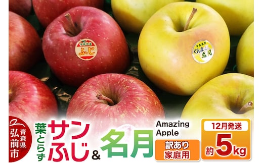 【26年12月発送】りんご 葉取らずサンふじ＆名月 詰め合わせ【訳あり】家庭用 約5kg 先行受付 [先行予約 りんご サンふじ 葉とらず ふじ 名月 訳あり 家庭用 5kg 詰め合わせ セット アップル おいしい 果実 果物 美味 葉っぱ 林檎 青森県 弘前市]