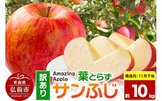 【26年11月下旬発送】りんご 葉とらずサンふじ【訳あり】家庭用 約10kg 先行受付 [先行予約 りんご サンふじ 葉とらず ふじ 訳あり 家庭用 10kg アップル おいしい 果実 果物 取ら 赤色 美味 葉っぱ 林檎 青森県 弘前市]