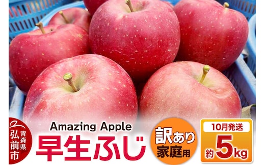 【26年10月発送】りんご 早生ふじ【訳あり】家庭用 約5kg 先行受付 [先行予約 青森産 りんご 早生ふじ アップル 林檎 リンゴ 果物 果実 美味 青森県 弘前市]
