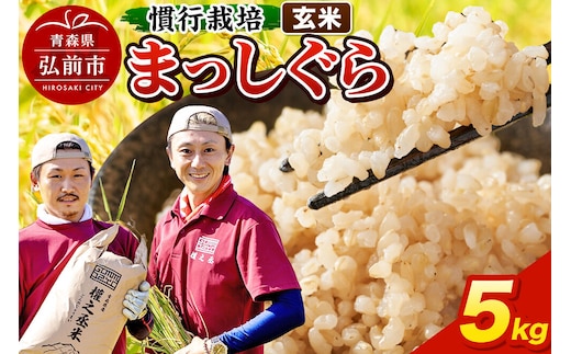 まっしぐら 5kg ［玄米］ 慣行栽培 青森県産 令和7年産 [お米 東北 玄米 青森 青森県産 米 ブランド米]