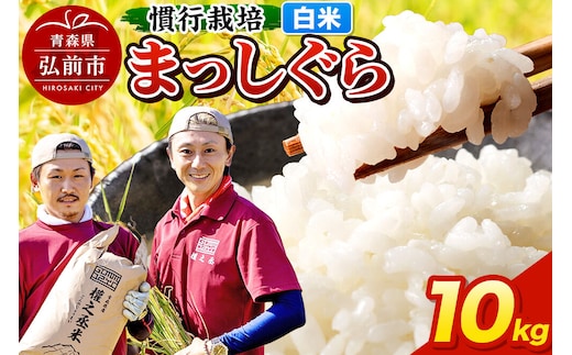 まっしぐら 10kg ［白米］ 慣行栽培 青森県産 令和7年産 [お米 東北 精米 青森 青森県産 白米 米 ブランド米]