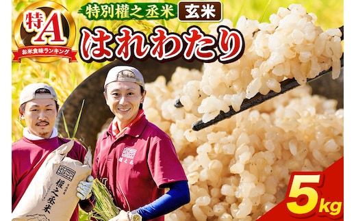 はれわたり 5kg［玄米］特A 特別權之丞米 青森県産 令和7年産 [お米 東北 玄米 青森 青森県産 米 ブランド米]