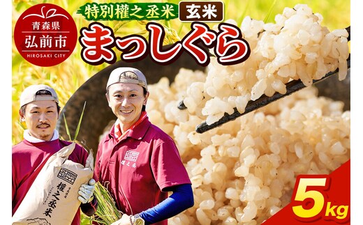まっしぐら 5kg ［玄米］ 特別權之丞米 青森県産 令和7年産 [お米 東北 玄米 青森 青森県産 米 ブランド米]