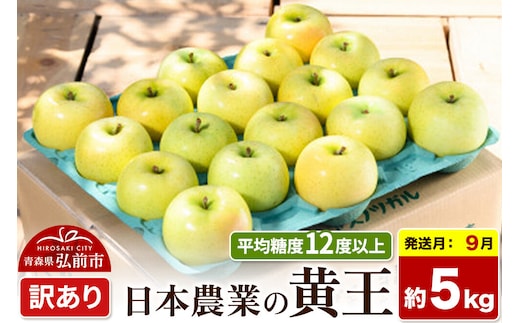 【26年9月クール便発送】りんご 黄王【訳あり】約5kg 平均糖度12度以上 青森県産 果物 フルーツ 林檎 リンゴ くだもの 不揃い 規格外 [家庭用 産地直送 アップル 青森県 弘前市]
