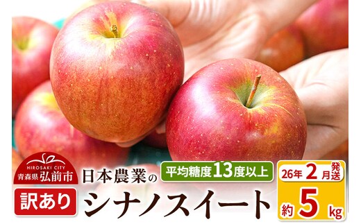 【26年2月発送】りんご 平均糖度13度以上！ シナノスイート 約5kg 訳あり 青森 果物 フルーツ 林檎 リンゴ くだもの 不揃い 規格外
