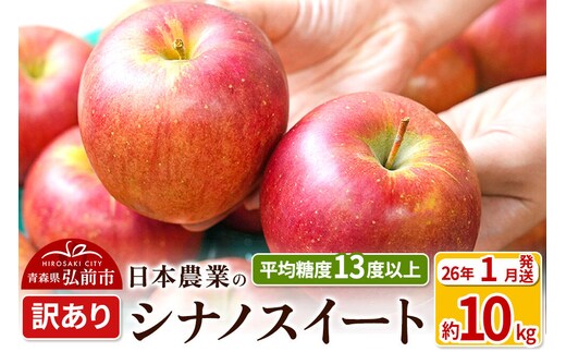 【26年1月発送】りんご 平均糖度13度以上！ シナノスイート 約10kg 訳あり 青森 果物 フルーツ 林檎 リンゴ くだもの 不揃い 規格外