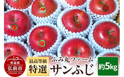 【25年12月発送】りんご ふみ丸ファーム 最高等級「特選」 サンふじ 約5kg