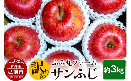 【25年12月発送】りんご ふみ丸ファーム【訳あり】サンふじ 3kg