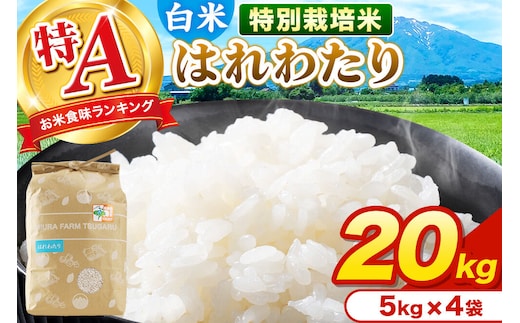 米【特別栽培米】はれわたり 白米 20kg（5kg×4袋）令和7年産 特A 青森県弘前市産 [20キロ 5キロ 小分け はれわたり 特別栽培米 白米 精米 ブランド米 青森県 弘前市産]