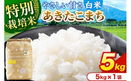 米【特別栽培米】あきたこまち 白米 5kg（5kg×1袋）令和7年産 青森県弘前市産 [米 あきたこまち 特別栽培米 白米 精米 ブランド米 青森県 弘前市産]