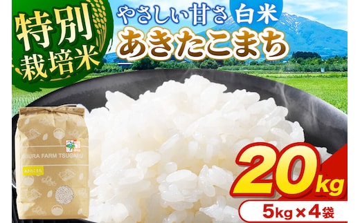 米【特別栽培米】あきたこまち 白米 20kg（5kg×4袋）令和7年産 青森県弘前市産 [20キロ 5キロ 小分け あきたこまち 特別栽培米 白米 精米 ブランド米 青森県 弘前市産]